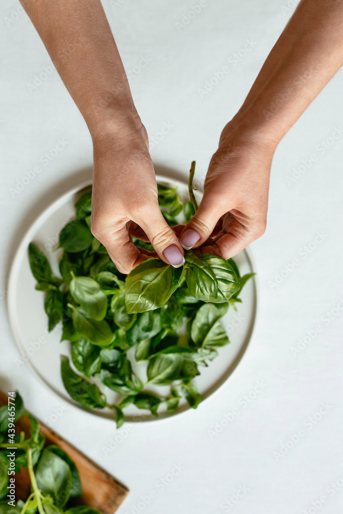 Crop woman preparing basil for pesto Crop woman preparing basil for pesto