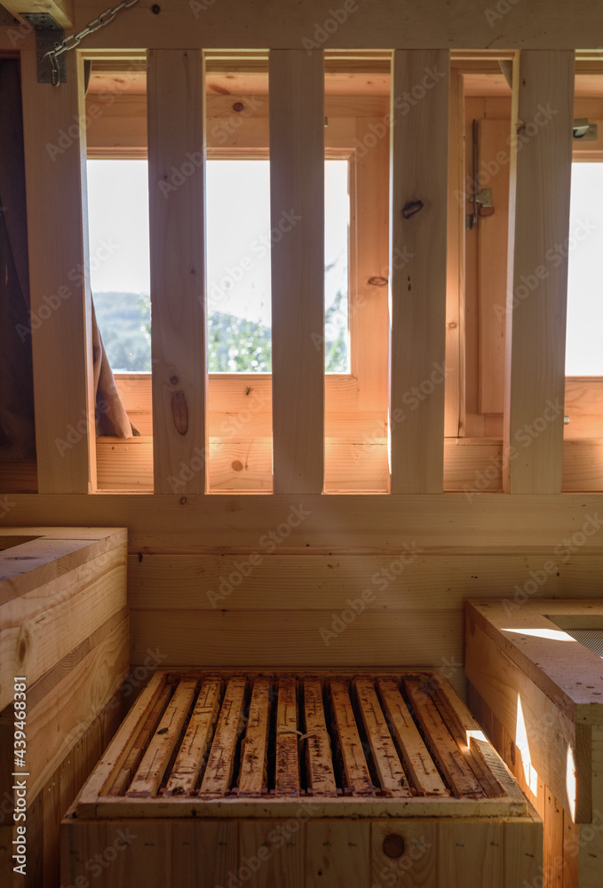 Beehive for apitherapy in wooden house Beehive for apitherapy in wooden house