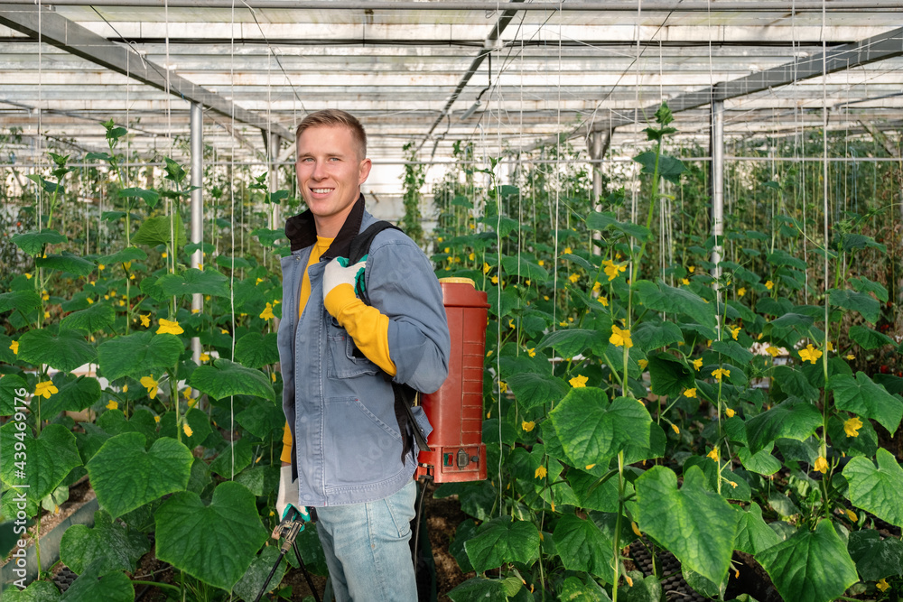 Friendly male farmer with spray tank amidst cucumber plants Friendly male farmer with spray tank amidst cucumber plants