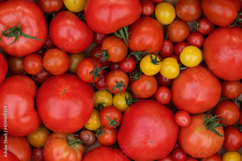 Bunch of fresh ripe tomatoes