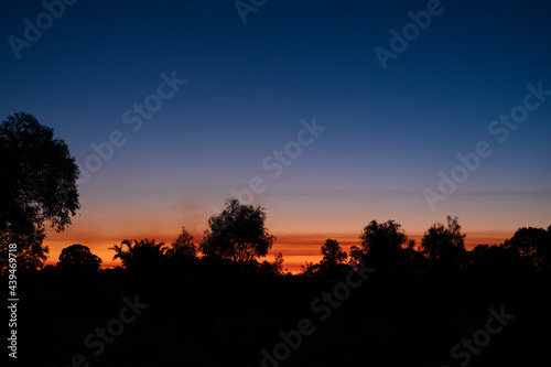 Silhouette of trees backlit by a beautiful sunset