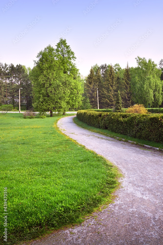 A winding path in a landscaped garden. Trees with fresh leaves, spring grass on the lawn under a blue sky. Novosibirsk, Siberia, Russia