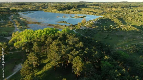 Aerial flying backwards over National park Kennemerland photo