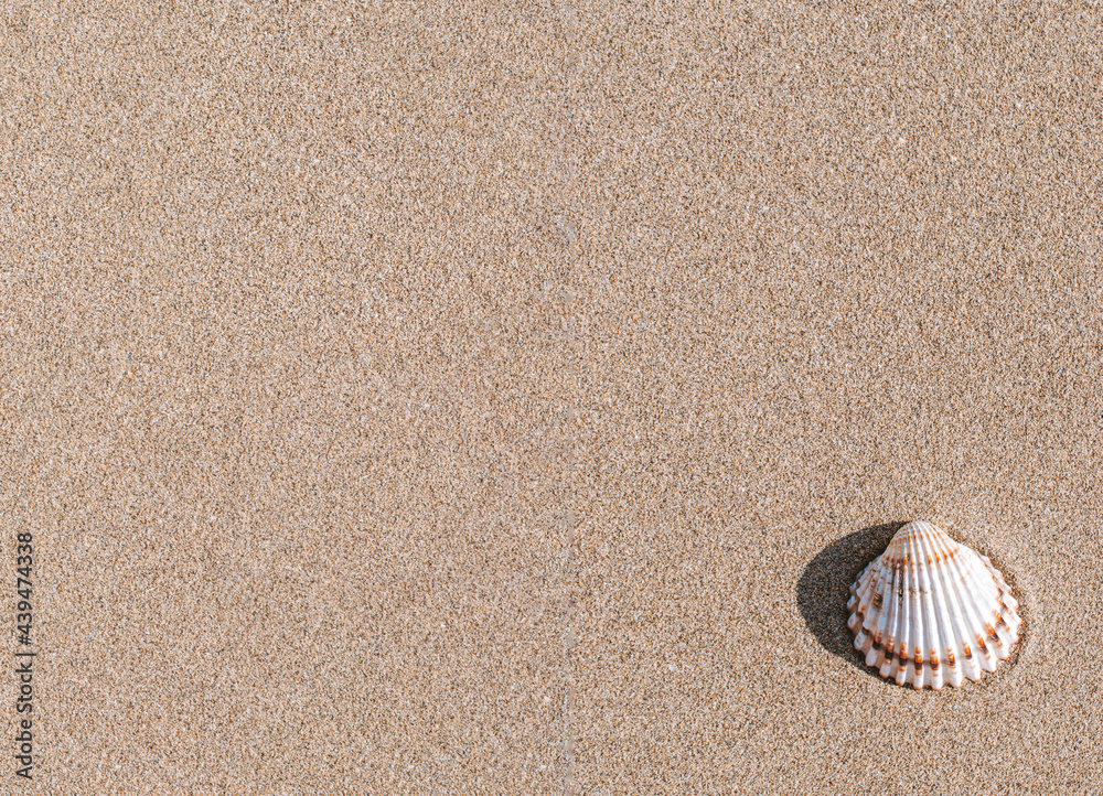 Summer holiday poster with seashells, starfishes on sand ocean beach background. Summer vacation and product advertisement concept. Summer holiday poster with seashells, starfishes on sand ocean beach background. Summer vacation and product advertisement concept.