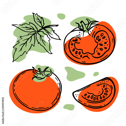 TOMATOS Delicious Vegetable Whole And Slices With Leaves For Design Of Organic Natural Products Shop And Dessert Drinks In Sketch Style Vector Illustration Set