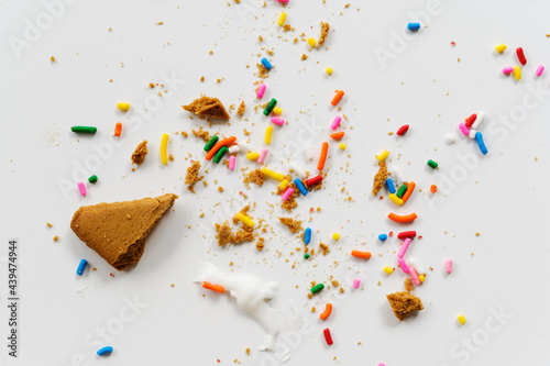 Gingerbread Crumbs and Sprinkles and Icing photo