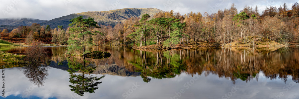 Tarn Hows Lake district