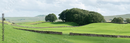 Yorkshire Dales Wensleydale Fields