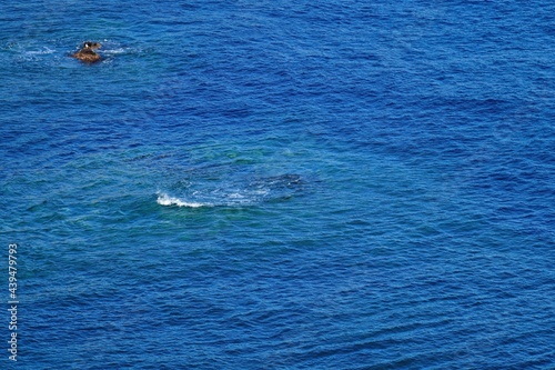 黄金岬展望台から見た積丹ブルーに染まる日本海＠積丹、北海道