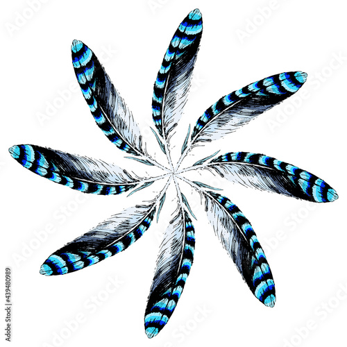Fotografia Round animal mandala or star with blue feathers of Eurasian jay bird