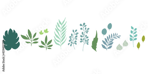 手描きタッチのシンプル草木多種類セット　Set hand drawn white isolated background. Botanical illustration. Decorative Botanical picture.