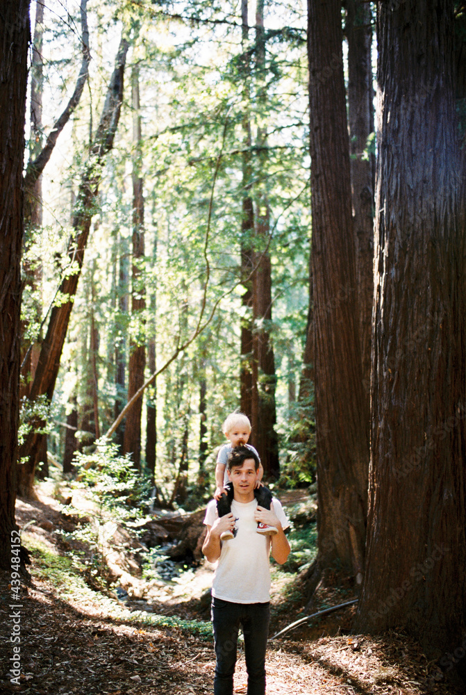 Father and son exploring the red woods in Big Sur, CA Father and son exploring the red woods in Big Sur, CA