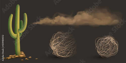 Cactus, brown dust clouds and tumbleweed, dry weed balls isolated on gray background. Vector realistic set of flow sand, green desert plant and rolling dry bushes, old tumble grass in prairie