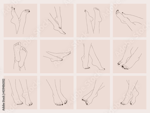 Female feet outline isolated on white background. Pedicure concept. Vector Illustration of elegant woman legs in a trendy lineart style. Design element for web icons, nail studio or spa salon logo.