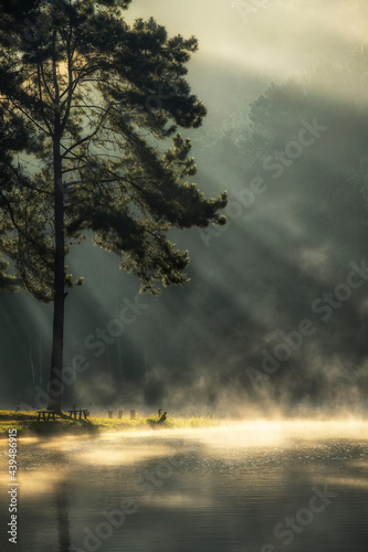 Morning at the lake in the mist at sunrise at Pang Ung  Pang Tong reservoir   Mae Hong Son province  Thailand select and soft focus