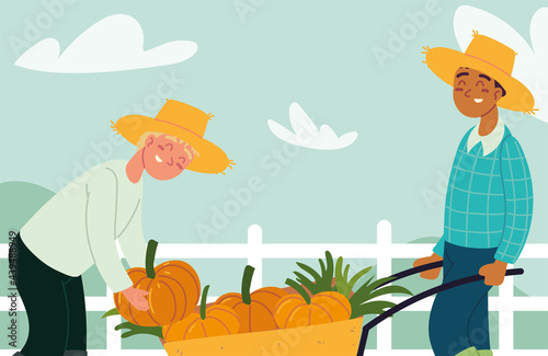 farmers with pumpkin harvest © djvstock