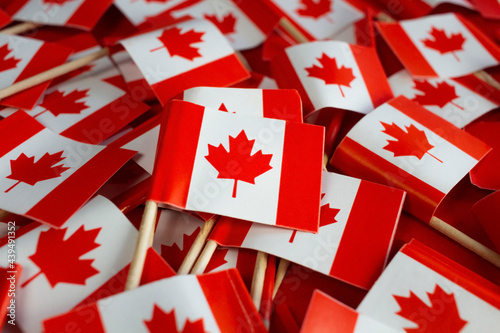 Canadian flags flat lay, national day celebration.
