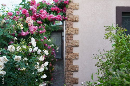 Flower decoration hanging on the wall in the home garden.