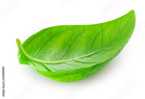 Basil isolated. Green Basil leaf on white. Close up