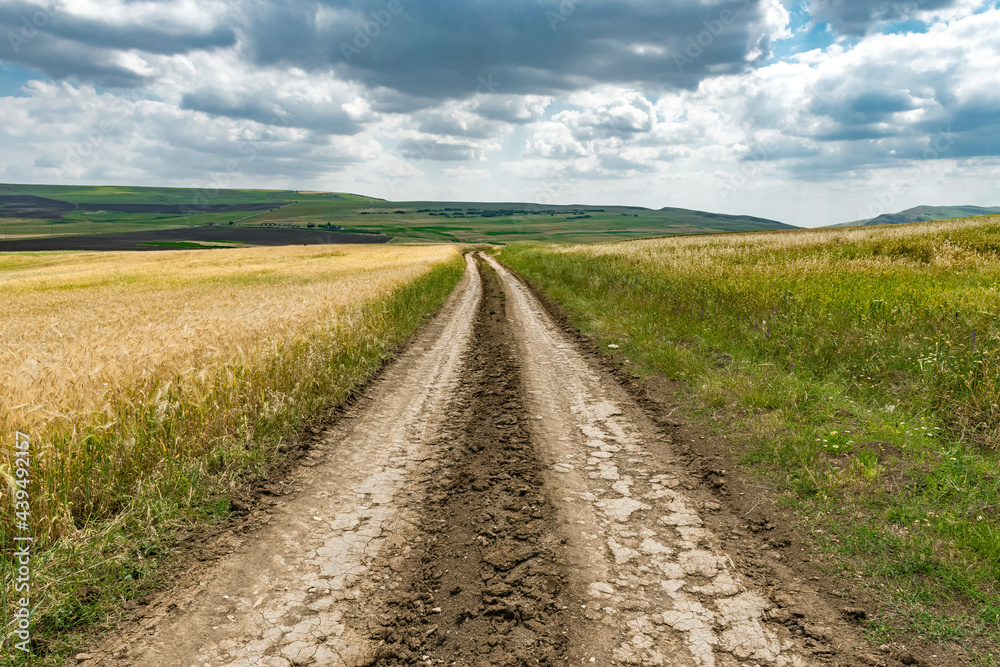 Rural dirt road among farm fields Rural dirt road among farm fields