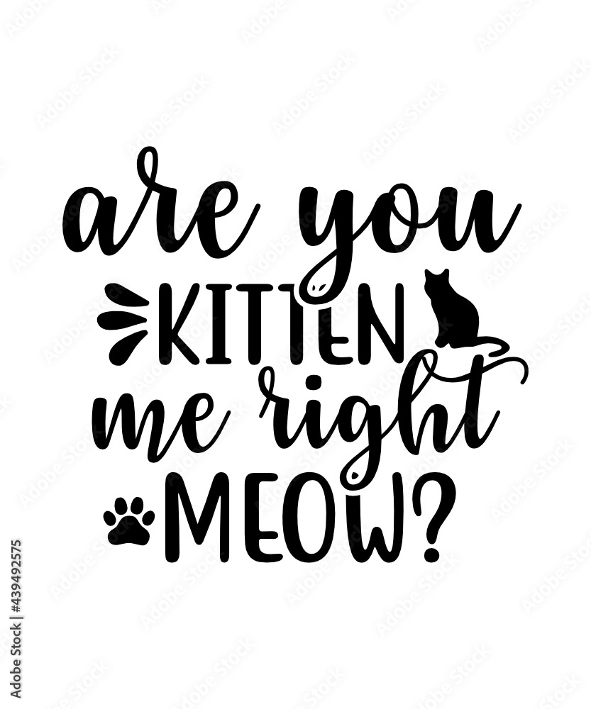Obraz premium Are you kitten me right meow? - funny cat lover vector - digital clipart , t-shirt design, instant download (svg, dxf, png)Life is better with a cat SVG File Instant Download Cat Lover SVG png pdf eps