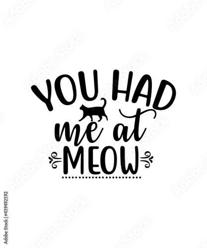 Are you kitten me right meow? - funny cat lover vector - digital clipart , t-shirt design, instant download (svg, dxf, png)Life is better with a cat SVG File Instant Download Cat Lover SVG png pdf eps