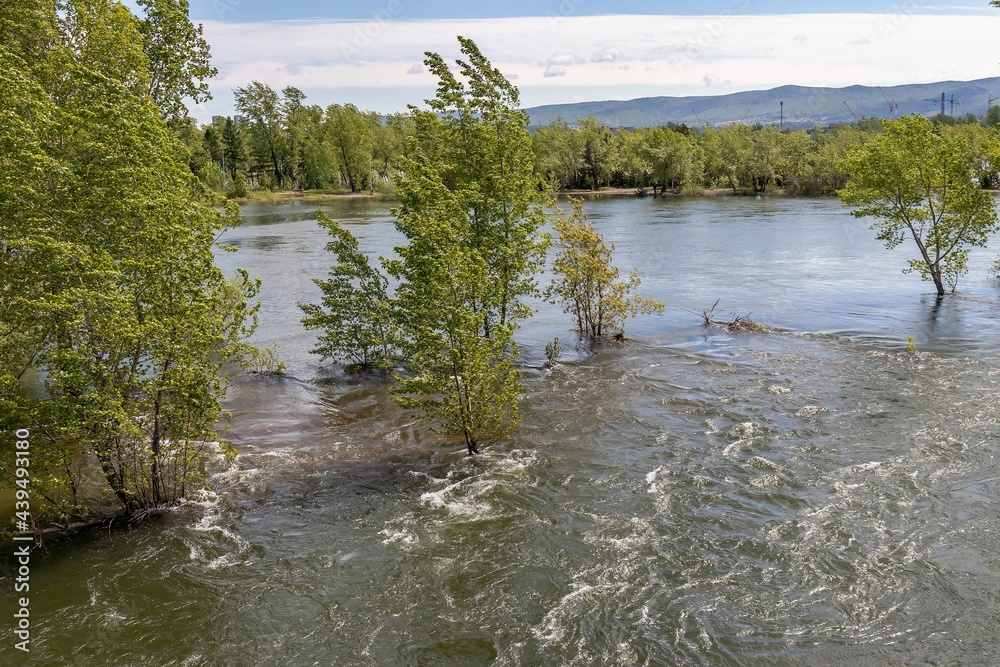 Trees in the flood zone, strong water flow during high water