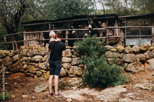 Father and son looking at the donkeys in a rural area of Ibiza, Spain photo