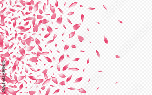 Light Apple Vector Transparent Background. Rosa