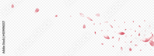 Red Leaf Vector Panoramic Transparent Background.