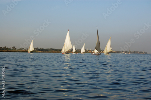 Feluccas sailing in the evening sunshine, Luxor