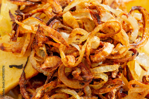 macro shot of fried onions.