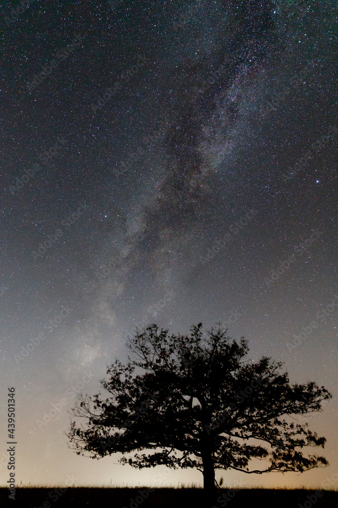 Night Sky Night Sky