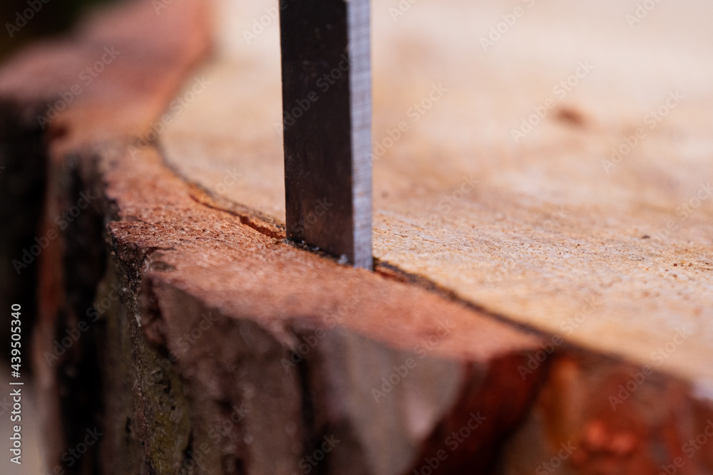 Close up shot of a woman removing bark and sculpting wood from a log using a chisel Close up shot of a woman removing bark and sculpting wood from a log using a chisel