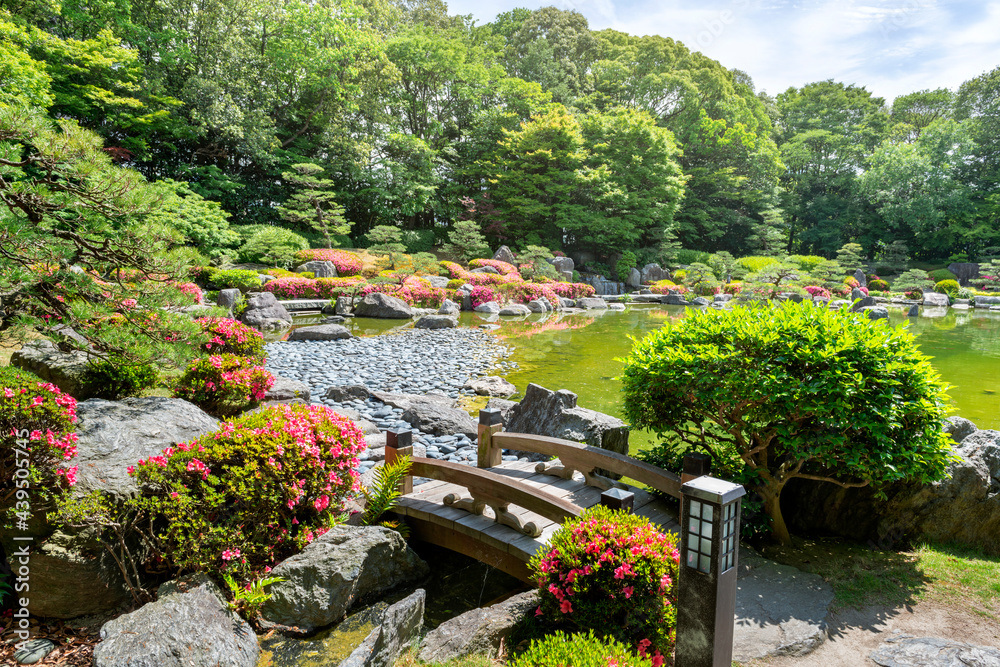 Fototapeta premium Picturesque japanese garden