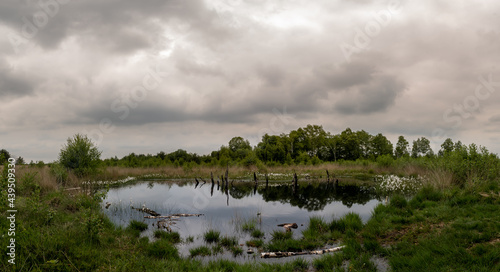 Wasserfläche und Wollgras im Hochmoor. © Jochen Mank