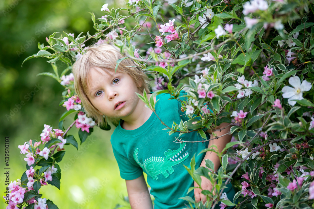 Cute little toddler child, standing next to a beautiful flower bush in spring Cute little toddler child, standing next to a beautiful flower bush in spring