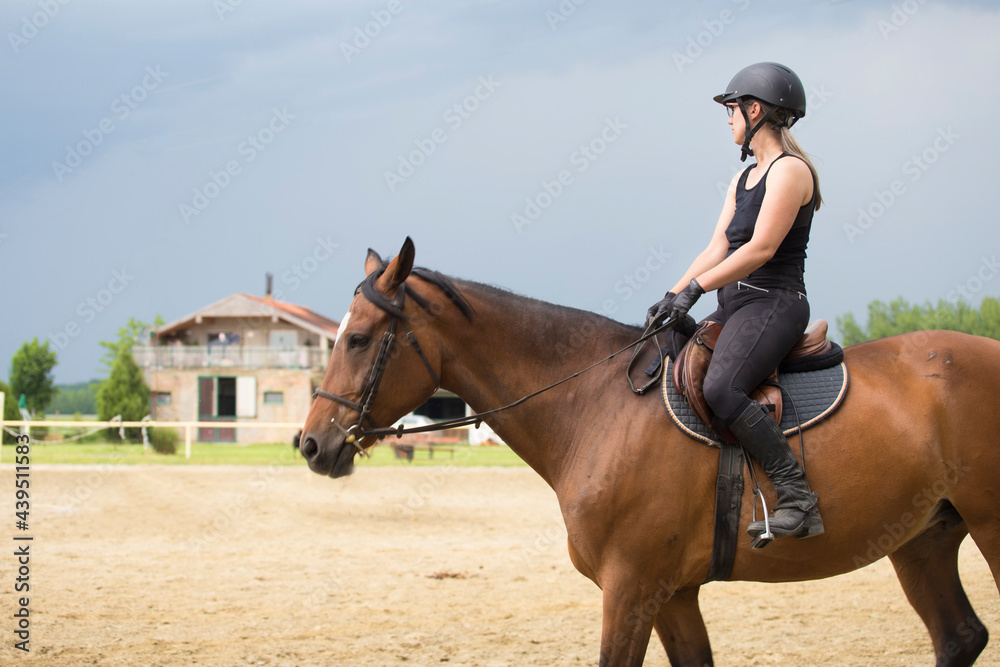 Fototapeta premium A girl in black on a horse at a riding school