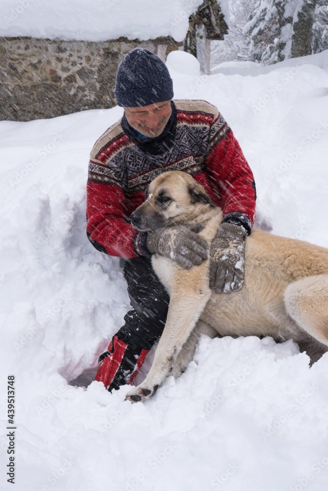 man and dog sitting in deep snow man and dog sitting in deep snow