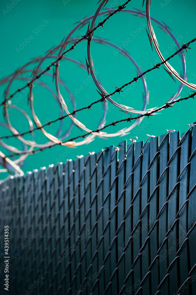 Barbed Wire 