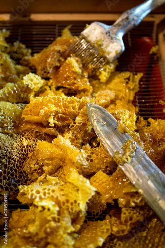 Honey extraction tools and leftovers photo