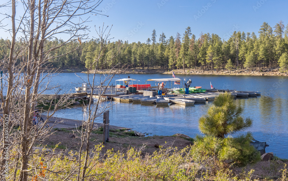 This man-made lake in Arizona offers non-motorized boat rentals like canoes and kayaks in bright red to explore the lake or use to fish from in the pine surrounded watering hole
