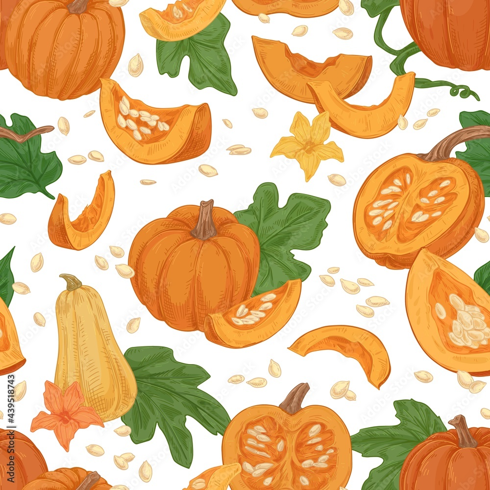 Seamless fall pattern with pumpkins, squashes, leaves, seeds on white background. Repeating texture of autumn harvest. Endless design with realistic vegetables. Colored hand-drawn vector illustration Seamless fall pattern with pumpkins, squashes, leaves, seeds on white background. Repeating texture of autumn harvest. Endless design with realistic vegetables. Colored hand-drawn vector illustration