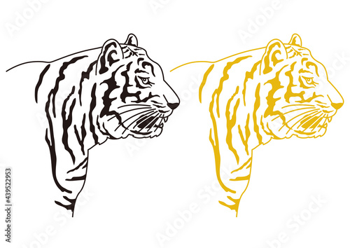 リアルタッチな虎の横顔シンプルイラスト（モノクロ・ゴールド）／Realistic tiger profile simple illustration (monochrome and gold) photo