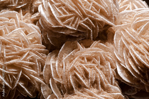 closeup of selenite crystals1 H
