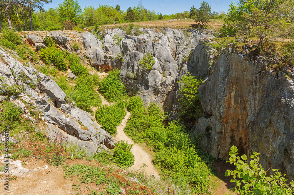 Standing at the edge of the sinkhole of the Fondry des chiens in Nismes. Fondry comes from the French fonderie because iron ore from the sinkhole was melted.