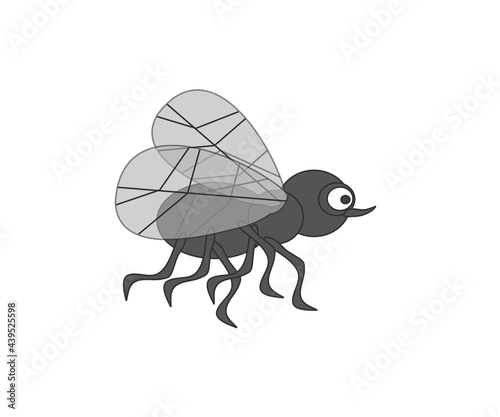 Dung fly on a white background. Cartoon. Vector illustration.