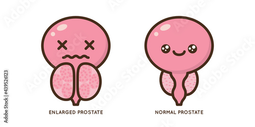 Male prostate disease vector icon flat illustration