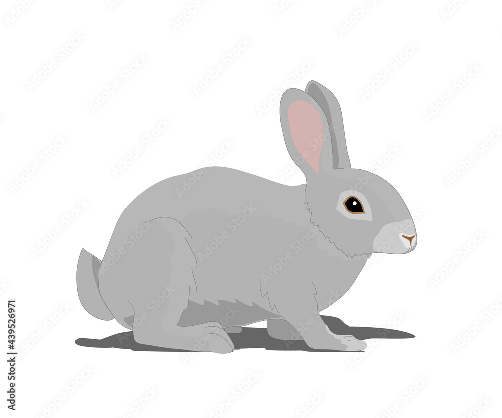Cute gray rabbit on a white background. Cartoon. Vector illustration. Cute gray rabbit on a white background. Cartoon. Vector illustration.
