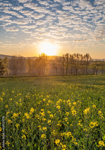 Country landscape in sunshine in Germany